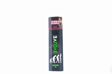 Evolve – Disposable Vape Pen (2 grams)