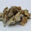 Assorted Psilocybin Mushroom 14G